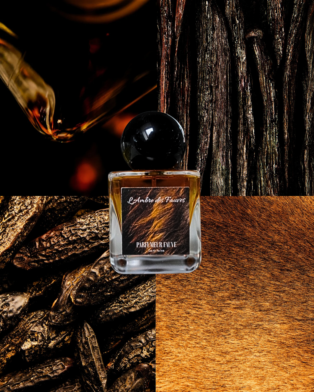 L'Ambre des Fauves EDP