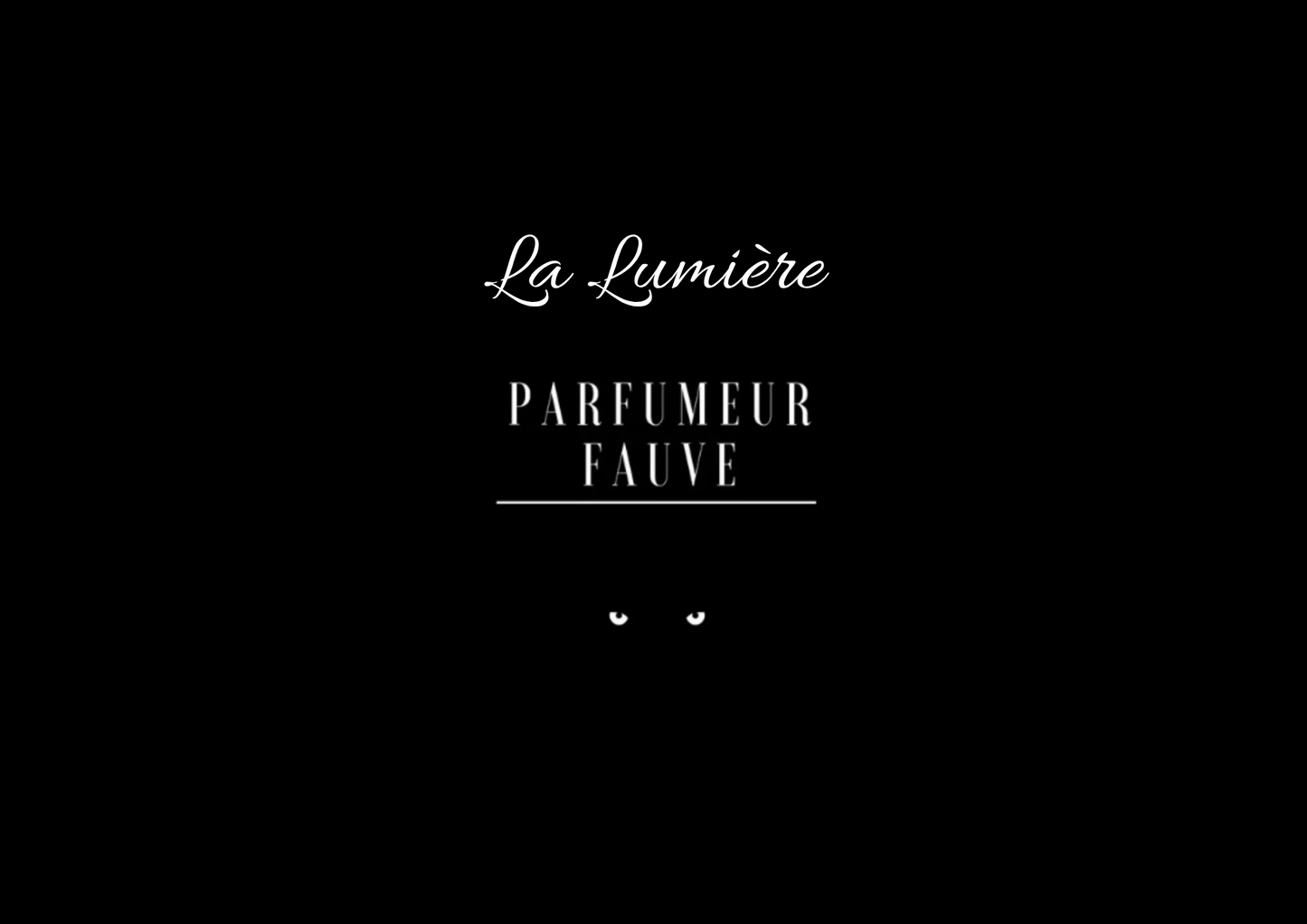 Coffrets L'Ombre et la Lumière - Exclusivité de Noël