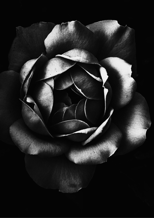 Le silence des larmes EDP